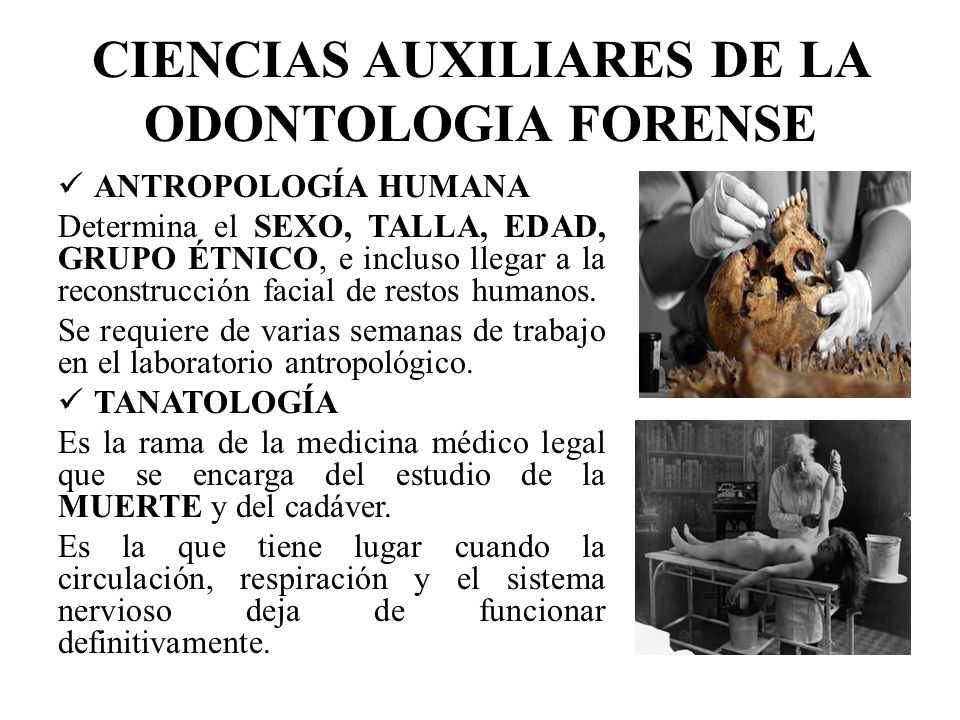 CIENCIAS AUXILIARES DE LA ODONTOLOGIA FORENSE