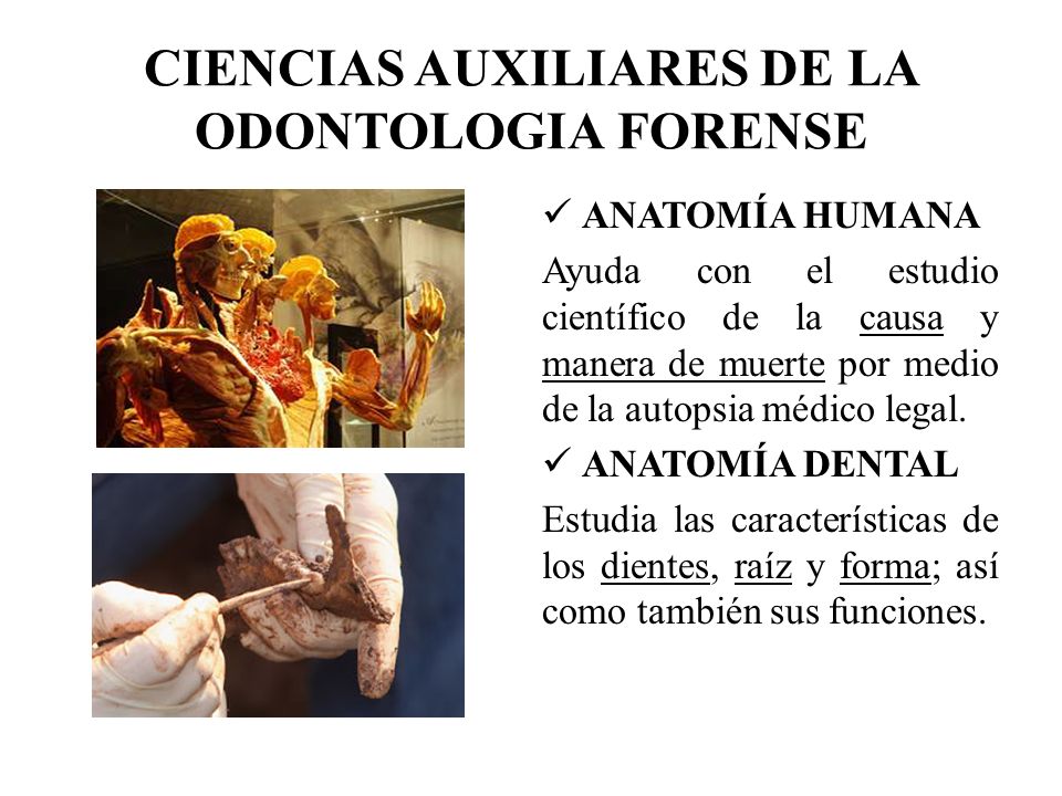 CIENCIAS AUXILIARES DE LA ODONTOLOGIA FORENSE