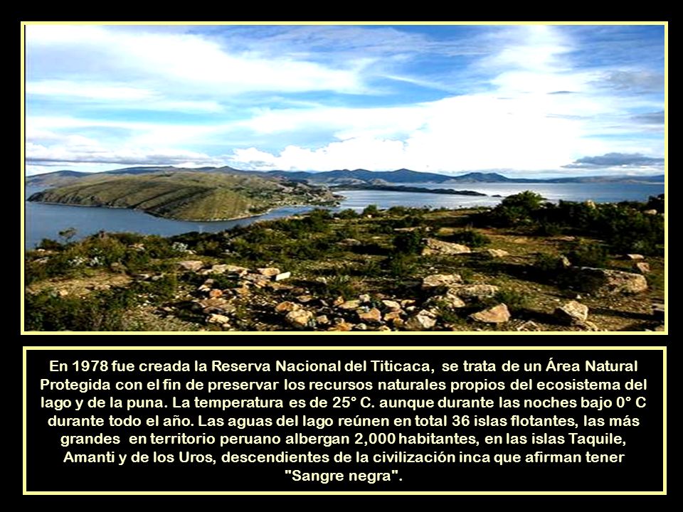 En 1978 fue creada la Reserva Nacional del Titicaca, se trata de un Área Natural Protegida con el fin de preservar los recursos naturales propios del ecosistema del lago y de la puna.