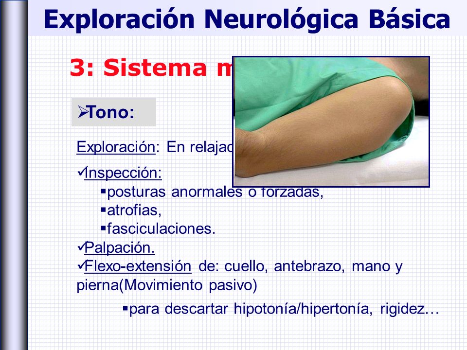 Exploración Neurológica Básica