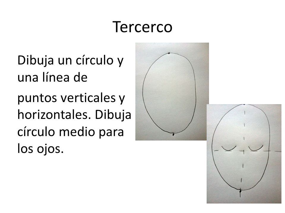 Tercerco Dibuja un círculo y una línea de puntos verticales y horizontales.