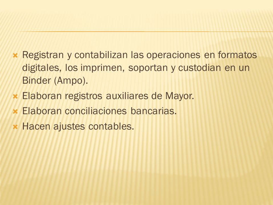 Registran y contabilizan las operaciones en formatos digitales, los imprimen, soportan y custodian en un Binder (Ampo).