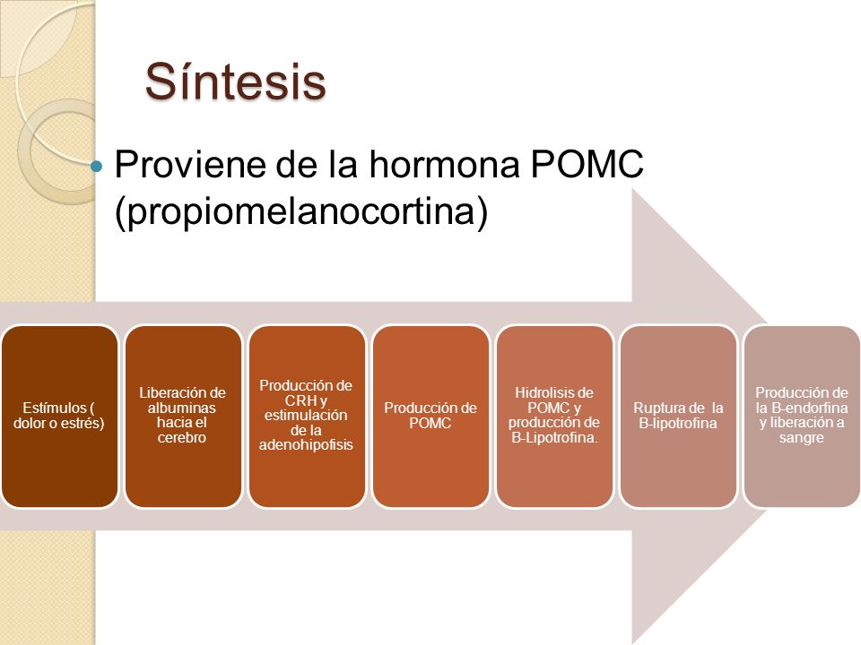 Síntesis Proviene de la hormona POMC (propiomelanocortina)