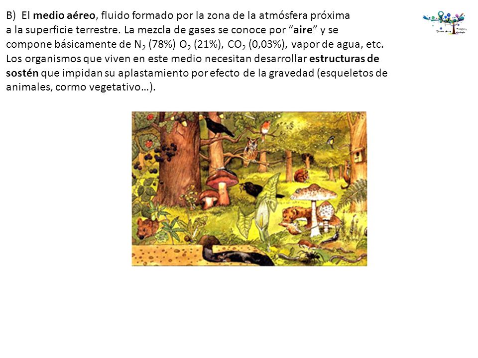 B) El medio aéreo, fluido formado por la zona de la atmósfera próxima