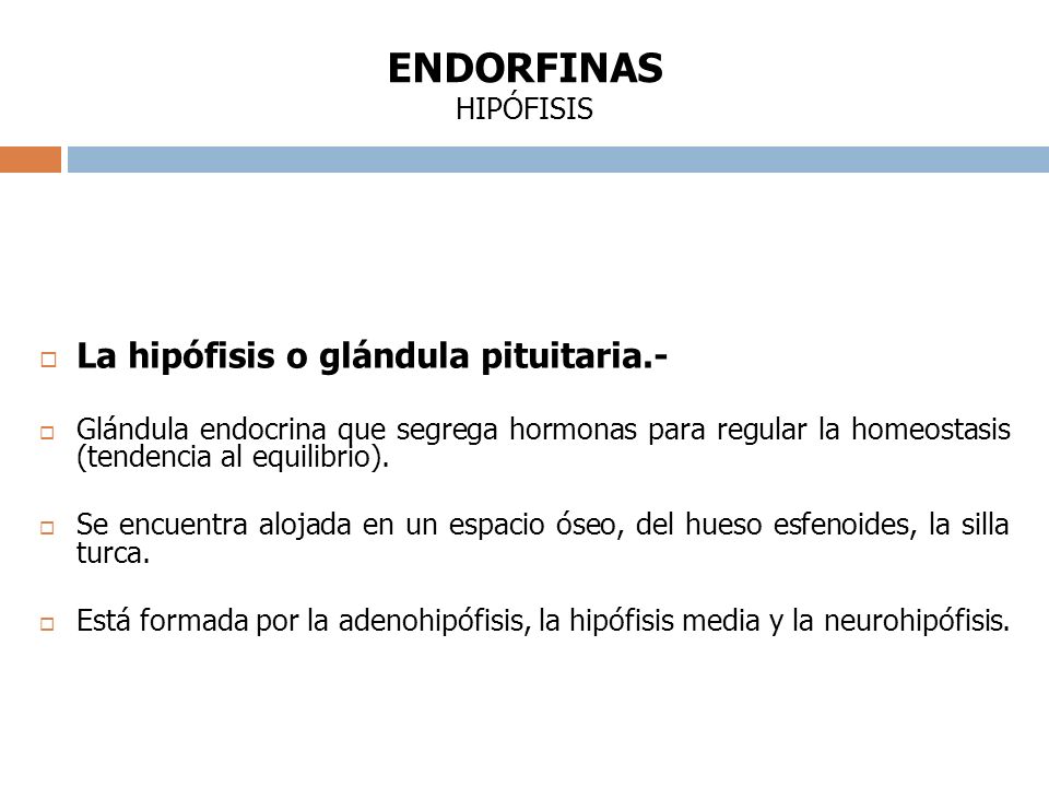 ENDORFINAS HIPÓFISIS La hipófisis o glándula pituitaria.-