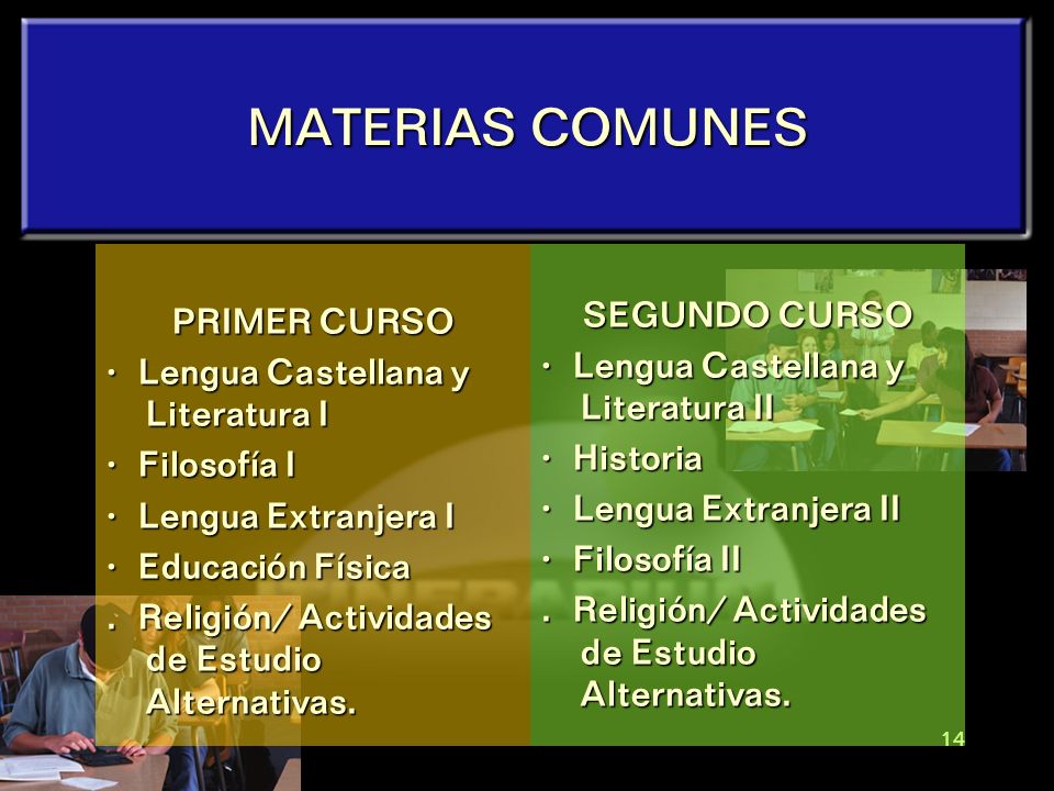 MATERIAS COMUNES SEGUNDO CURSO PRIMER CURSO