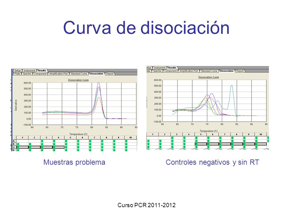 Curva de disociación Muestras problema Controles negativos y sin RT