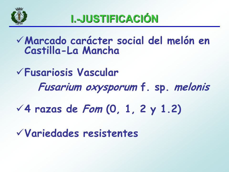 I.-JUSTIFICACIÓN Marcado carácter social del melón en Castilla-La Mancha. Fusariosis Vascular. Fusarium oxysporum f. sp. melonis.