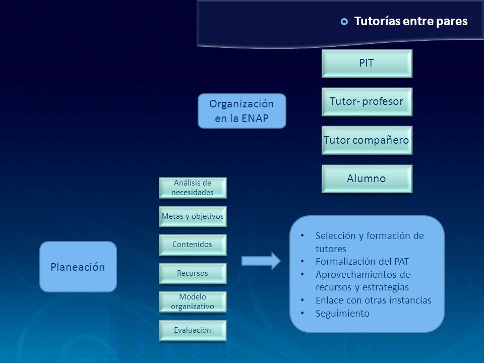 Tutorías entre pares PIT Tutor- profesor Organización en la ENAP