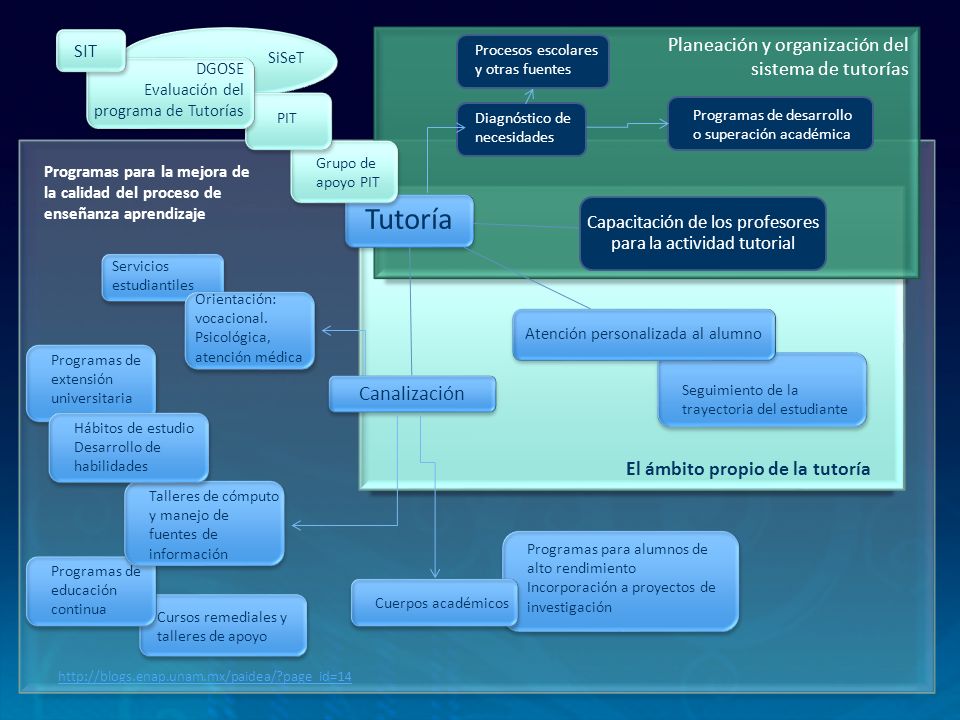 Tutoría Canalización Planeación y organización del sistema de tutorías