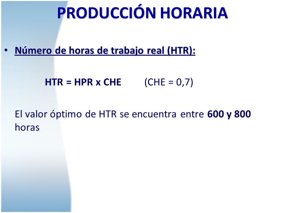 PRODUCCIÓN HORARIA Número de horas de trabajo real (HTR):