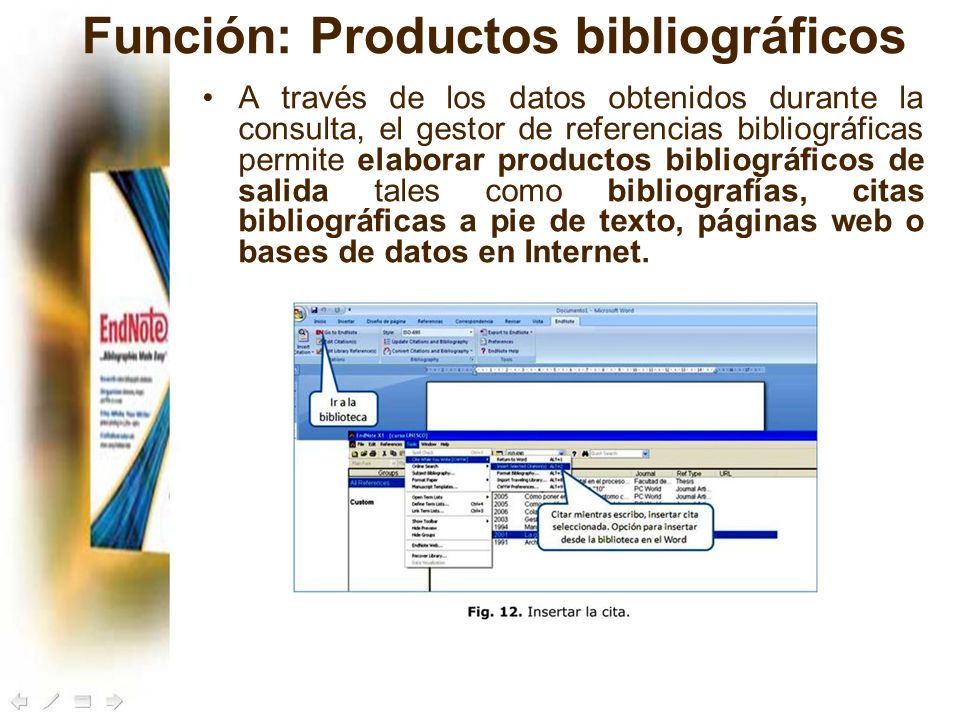 Función: Productos bibliográficos