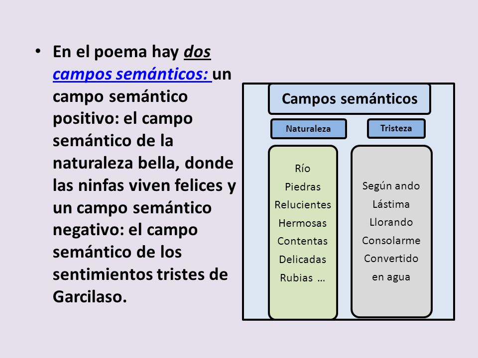 En el poema hay dos campos semánticos: un campo semántico positivo: el campo semántico de la naturaleza bella, donde las ninfas viven felices y un campo semántico negativo: el campo semántico de los sentimientos tristes de Garcilaso.