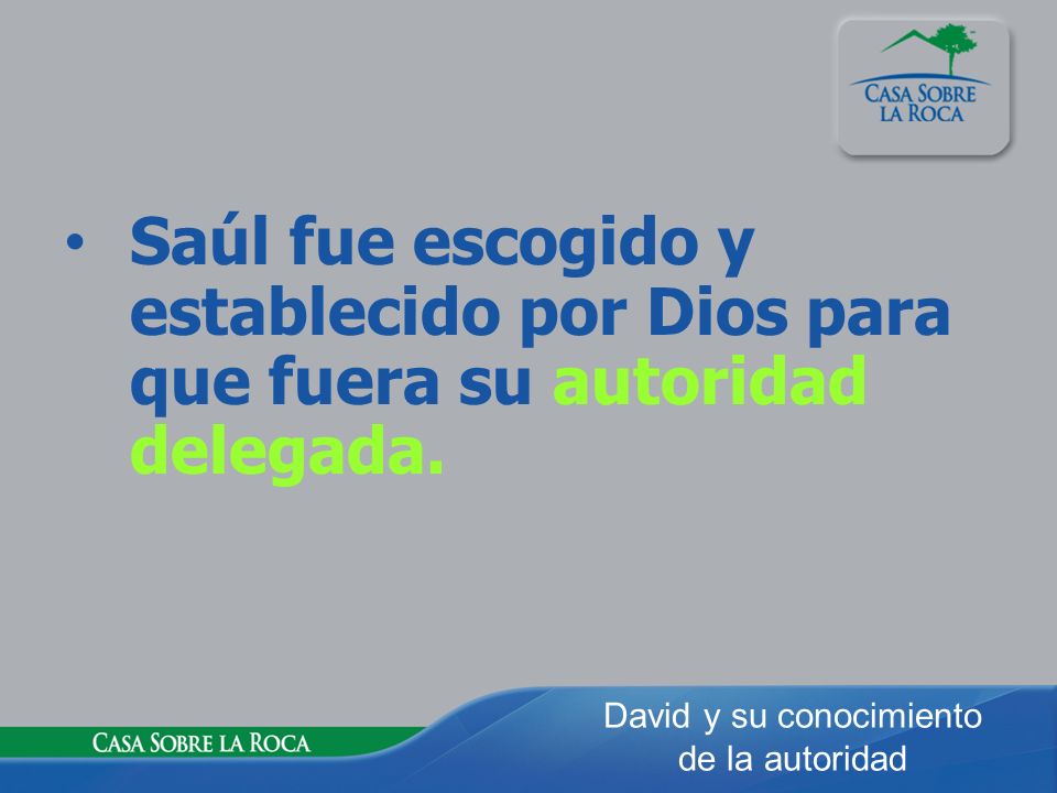Saúl fue escogido y establecido por Dios para que fuera su autoridad delegada.