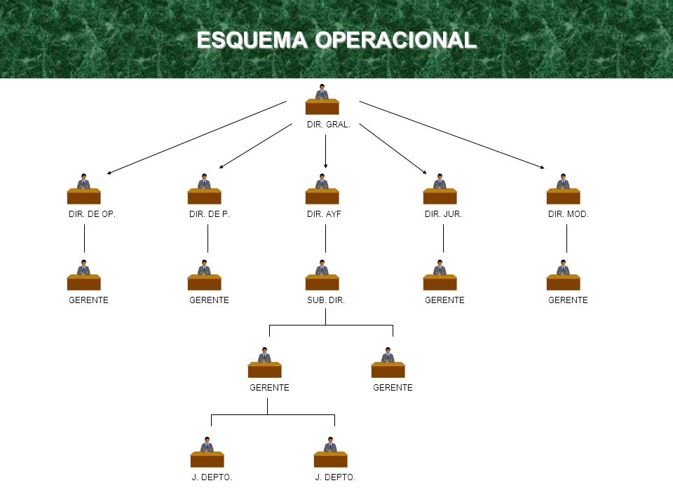 ESQUEMA OPERACIONAL DIR. GRAL. DIR. DE OP. DIR. DE P. DIR. AYF