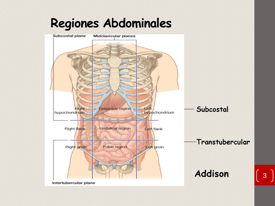 Regiones Abdominales H.D Epi H.I F.D Meso F.I FID Hipo FII Addison