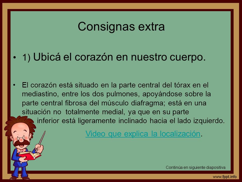 Consignas extra 1) Ubicá el corazón en nuestro cuerpo.