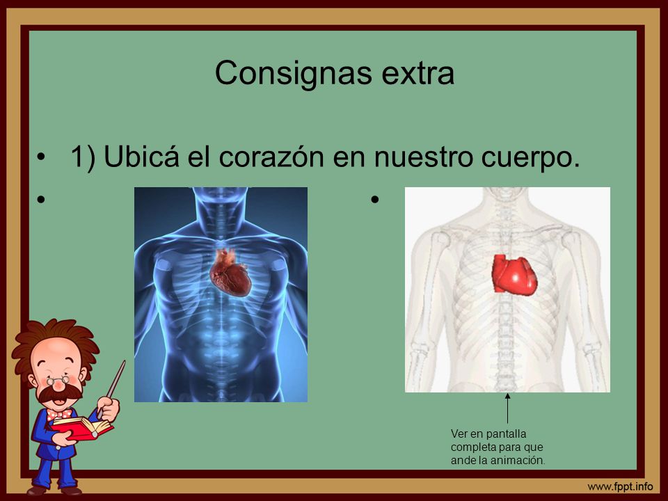 Consignas extra 1) Ubicá el corazón en nuestro cuerpo. •