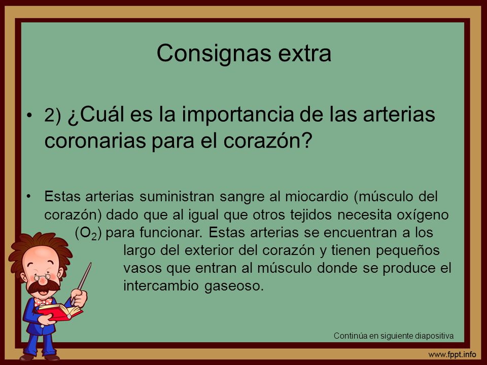 Consignas extra 2) ¿Cuál es la importancia de las arterias coronarias para el corazón