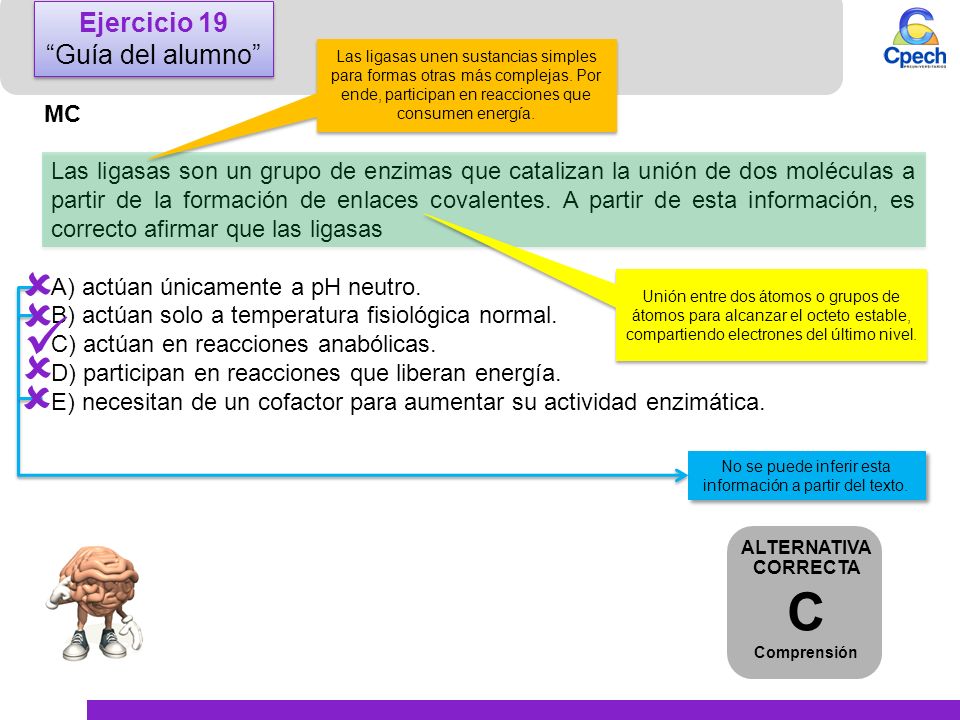 No se puede inferir esta información a partir del texto.