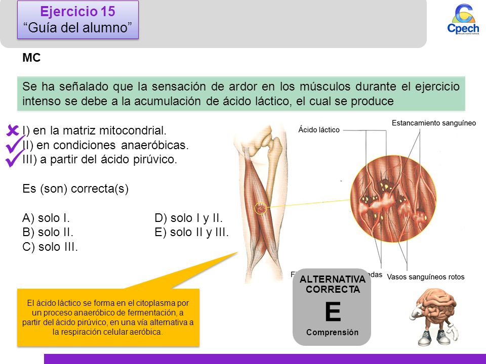    E Ejercicio 15 Guía del alumno MC