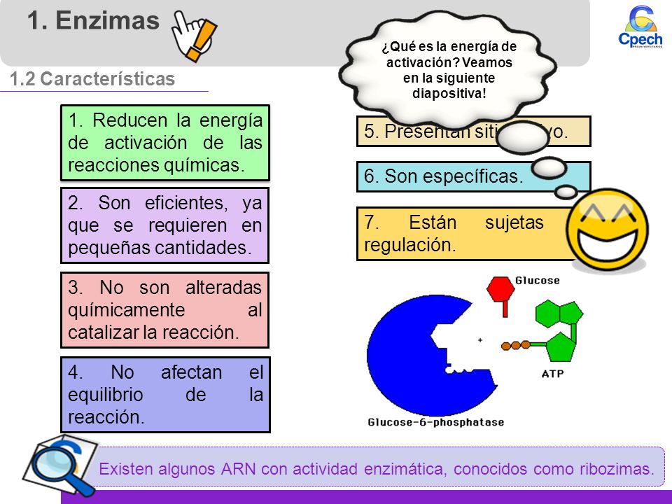 ¿Qué es la energía de activación Veamos en la siguiente diapositiva!