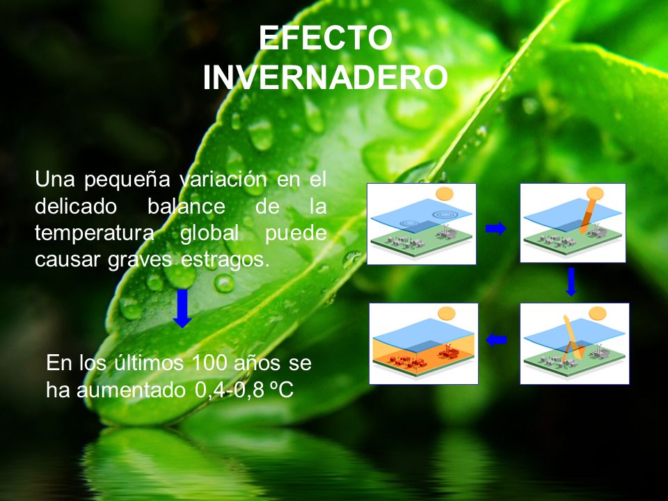 EFECTO INVERNADERO Una pequeña variación en el delicado balance de la temperatura global puede causar graves estragos.