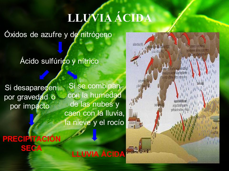 LLUVIA ÁCIDA Óxidos de azufre y de nitrógeno Ácido sulfúrico y nítrico