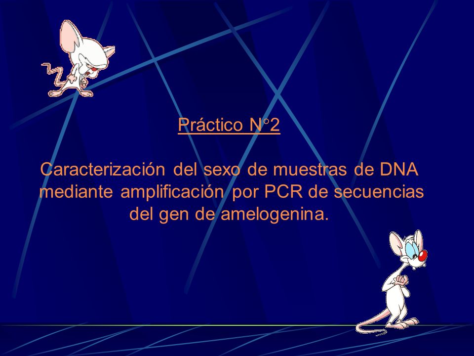 Práctico N2 Caracterización del sexo de muestras de DNA mediante amplificación por PCR de secuencias del gen de amelogenina.
