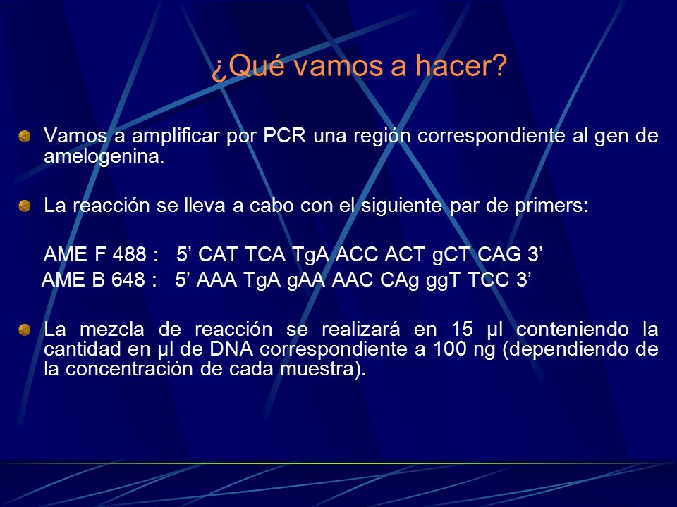 ¿Qué vamos a hacer Vamos a amplificar por PCR una región correspondiente al gen de amelogenina.