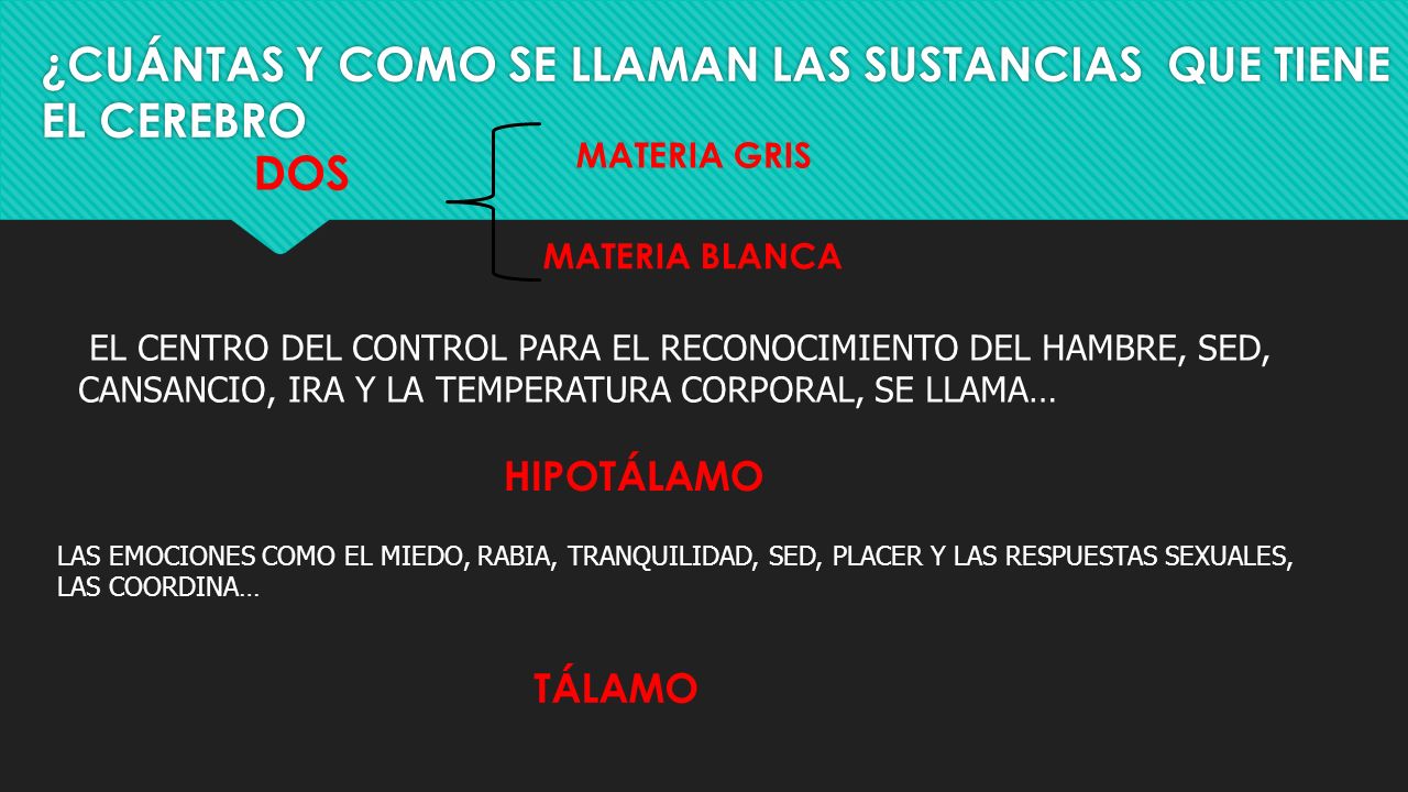 ¿CUÁNTAS Y COMO SE LLAMAN LAS SUSTANCIAS QUE TIENE EL CEREBRO