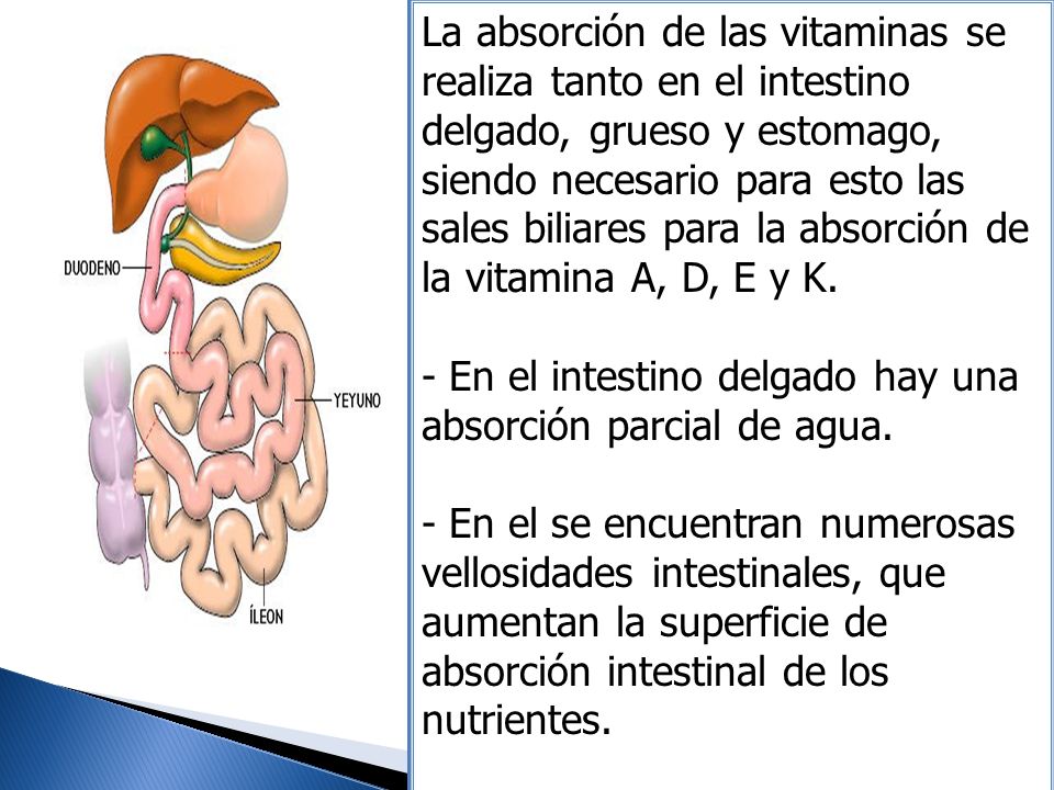 La absorción de las vitaminas se realiza tanto en el intestino delgado, grueso y estomago, siendo necesario para esto las sales biliares para la absorción de la vitamina A, D, E y K.