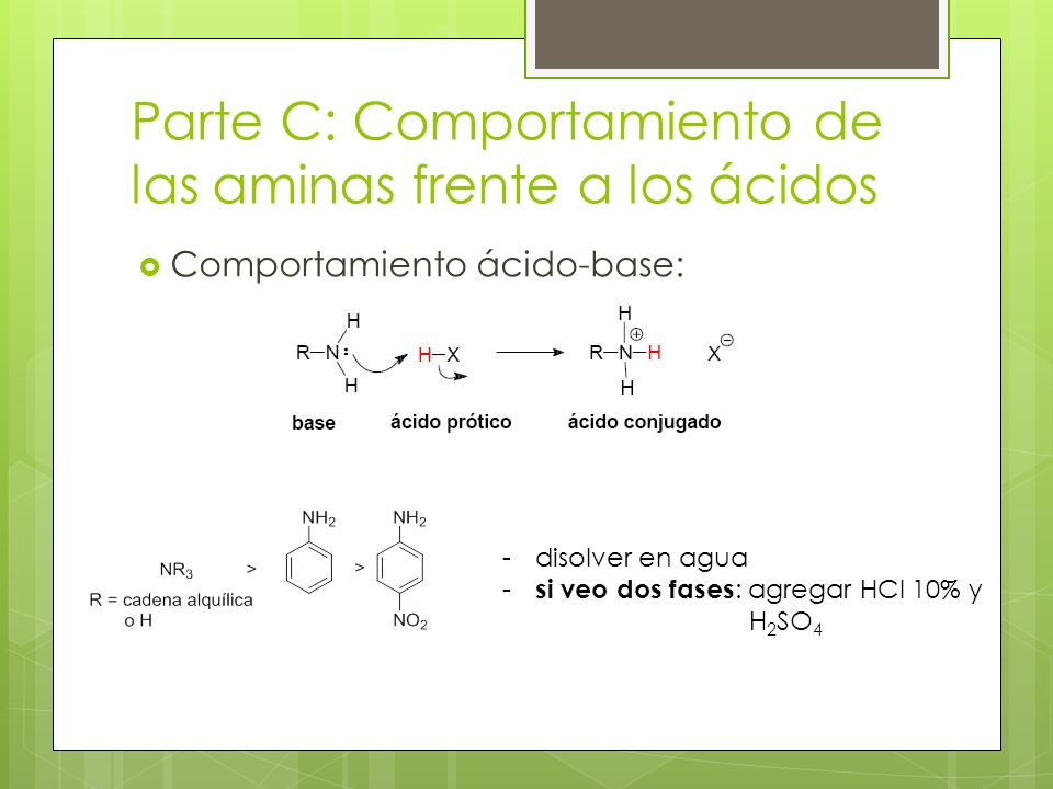 Parte C: Comportamiento de las aminas frente a los ácidos
