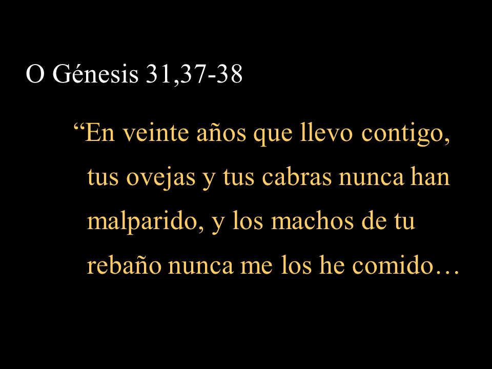 O Génesis 31,37-38 En veinte años que llevo contigo, tus ovejas y tus cabras nunca han. malparido, y los machos de tu.