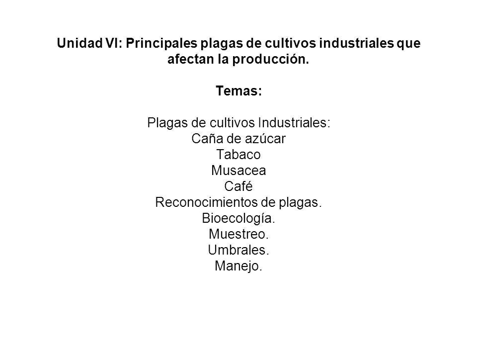 Unidad VI: Principales plagas de cultivos industriales que afectan la producción.