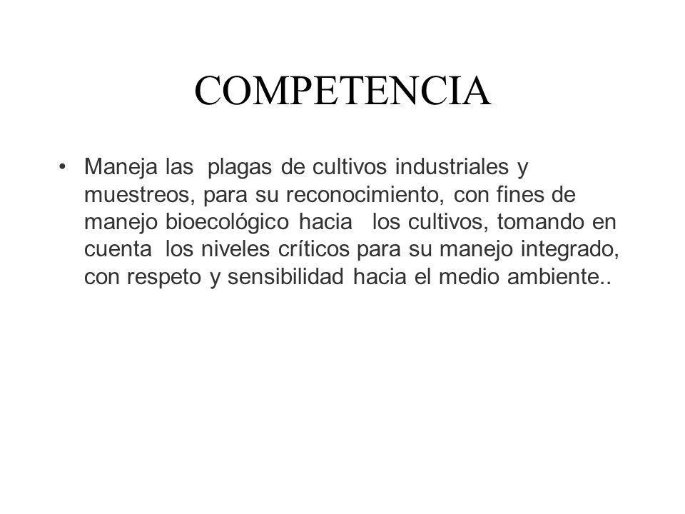 COMPETENCIA