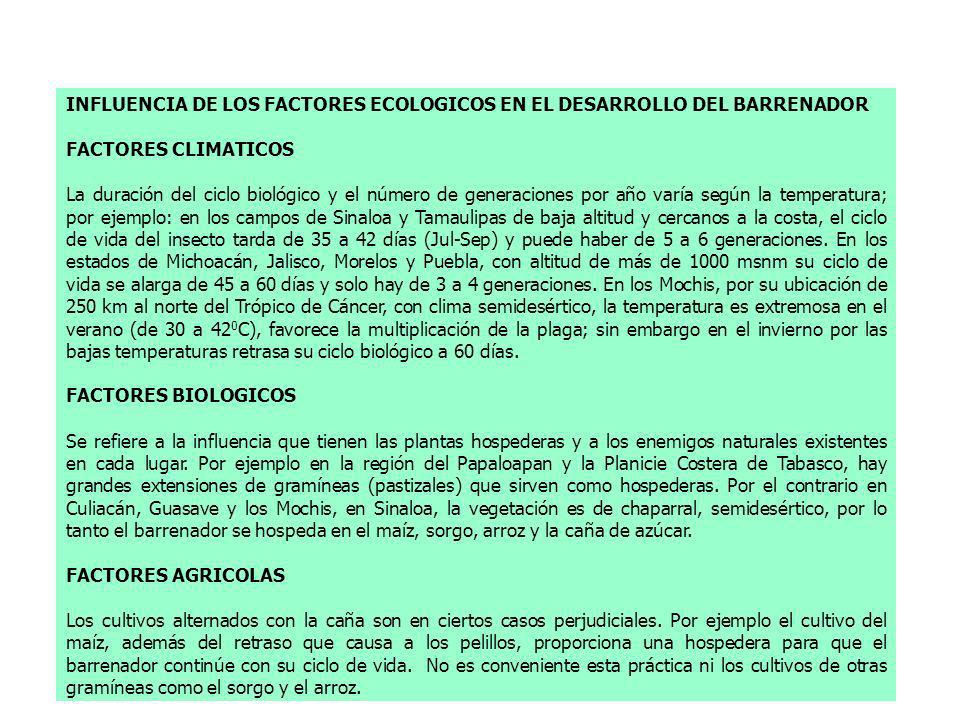INFLUENCIA DE LOS FACTORES ECOLOGICOS EN EL DESARROLLO DEL BARRENADOR