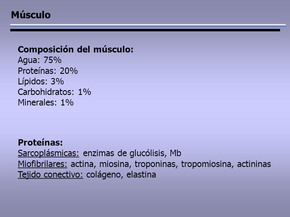 Músculo Composición del músculo: Agua: 75% Proteínas: 20% Lípidos: 3%