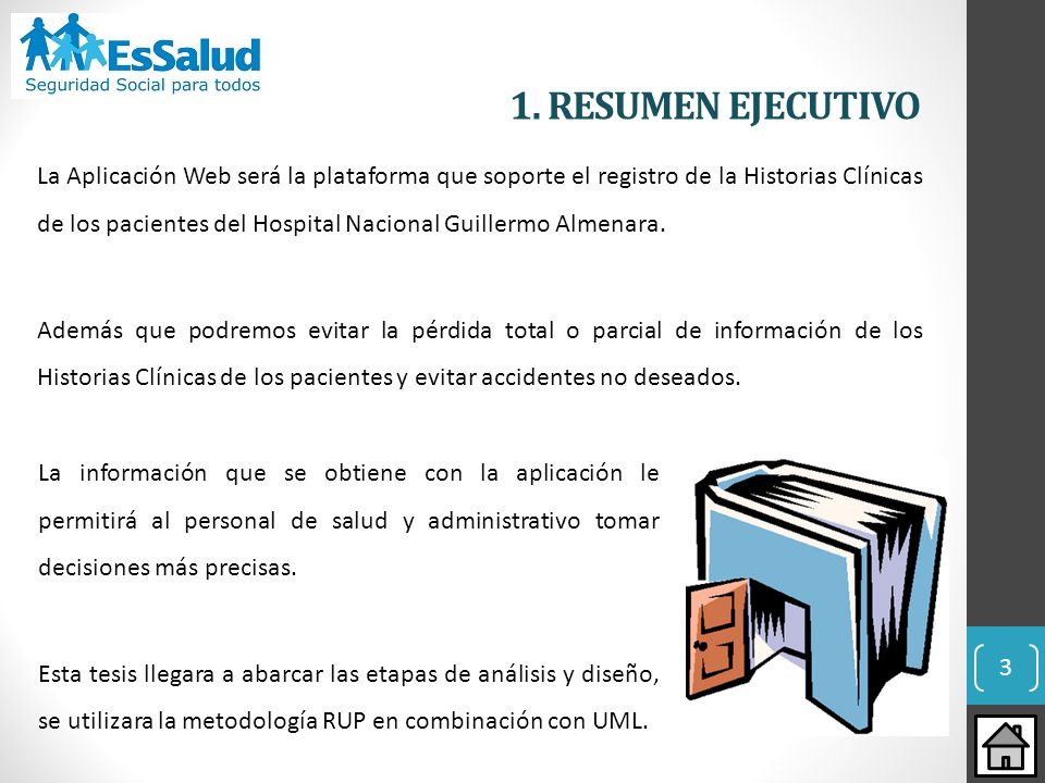 1. RESUMEN EJECUTIVO
