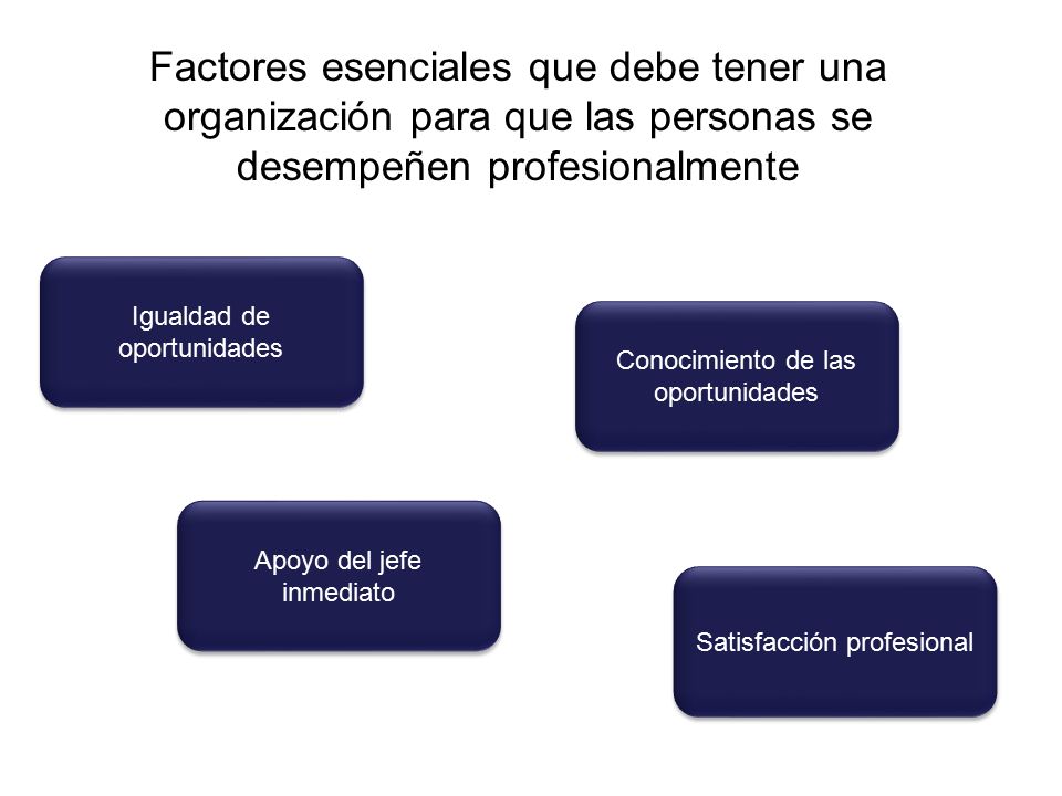Factores esenciales que debe tener una organización para que las personas se desempeñen profesionalmente