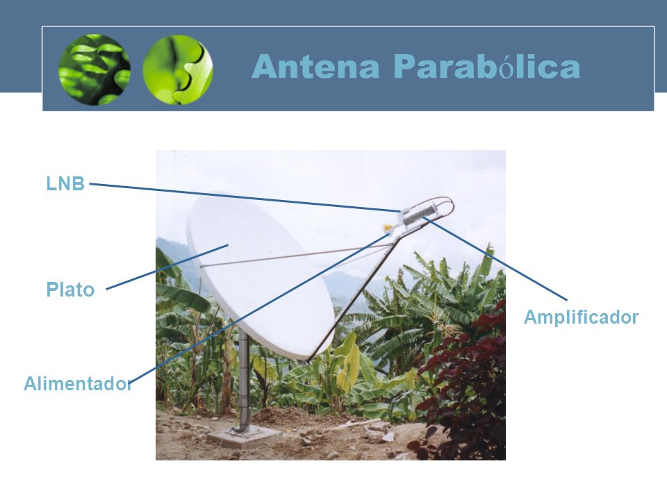 Antena Parabólica LNB Plato Amplificador Alimentador