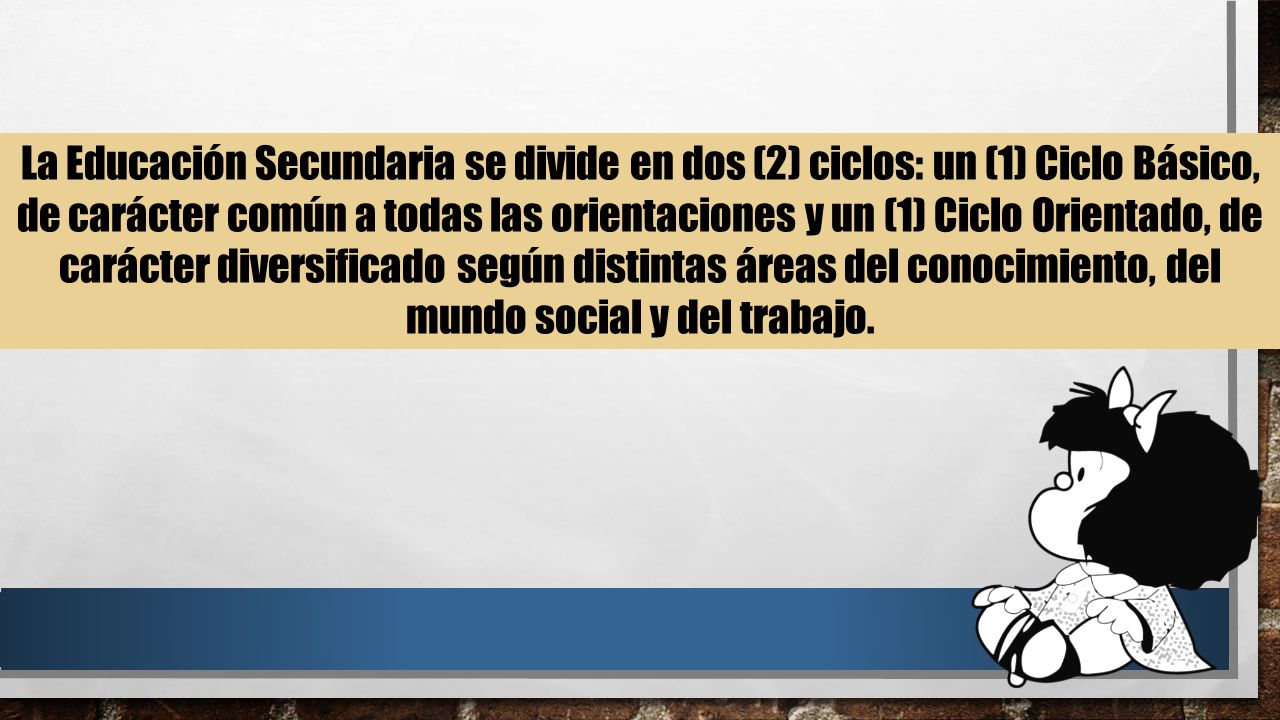 La Educación Secundaria se divide en dos (2) ciclos: un (1) Ciclo Básico, de carácter común a todas las orientaciones y un (1) Ciclo Orientado, de carácter diversificado según distintas áreas del conocimiento, del mundo social y del trabajo.