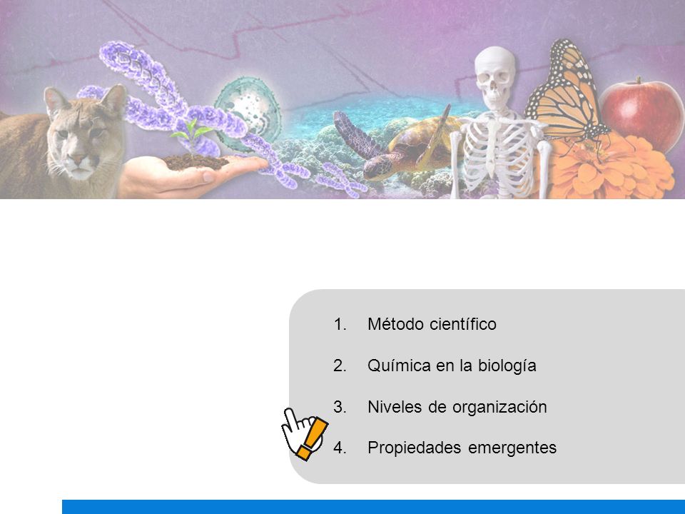 Método científico Química en la biología Niveles de organización Propiedades emergentes