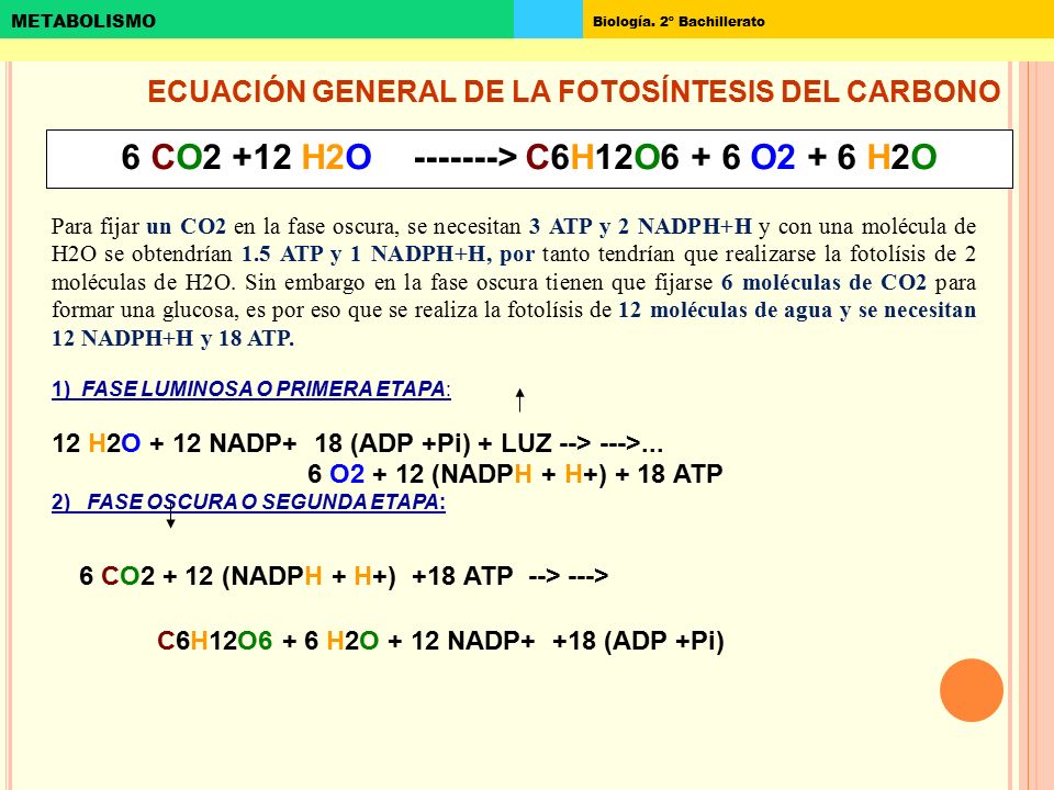 6 CO2 +12 H2O > C6H12O6 + 6 O2 + 6 H2O