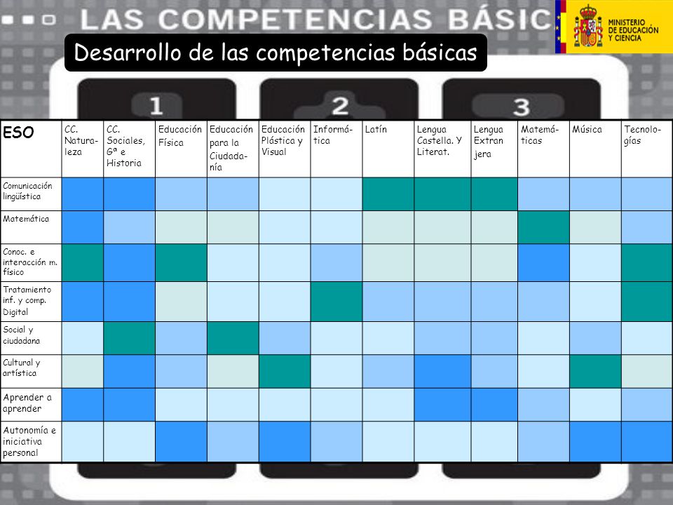 Desarrollo de las competencias básicas