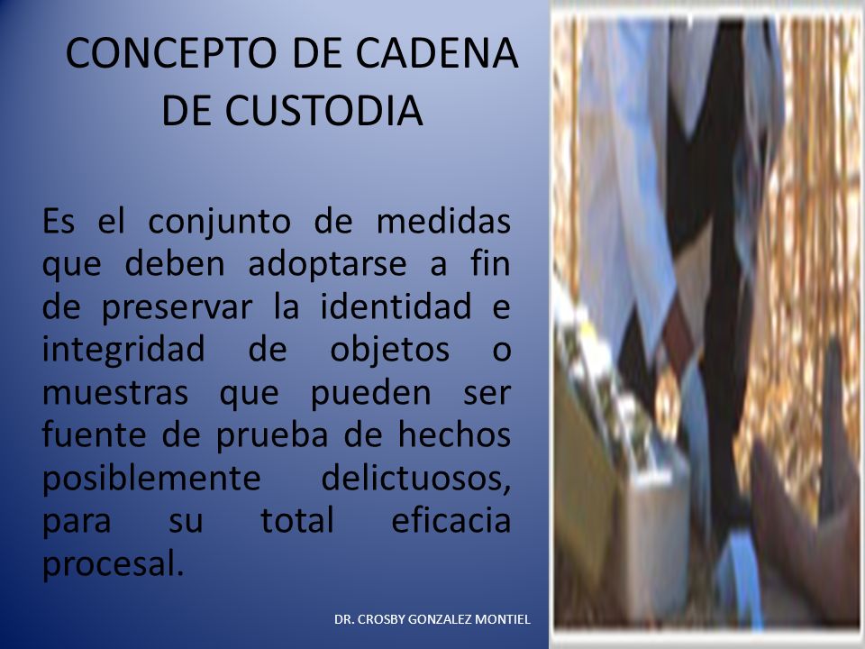 CADENA DE CUSTODIA [CC] - ppt online descargar