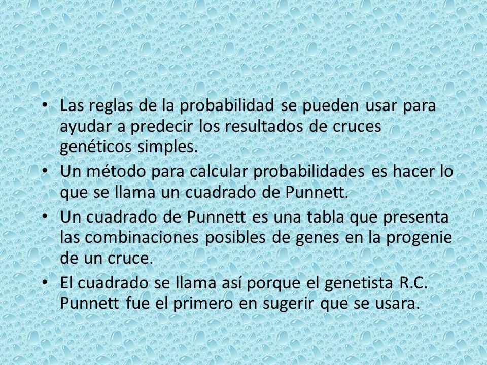 Las reglas de la probabilidad se pueden usar para ayudar a predecir los resultados de cruces genéticos simples.