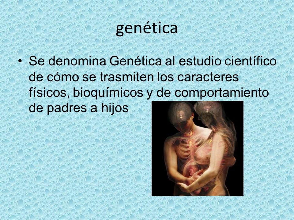 genética Se denomina Genética al estudio científico de cómo se trasmiten los caracteres físicos, bioquímicos y de comportamiento de padres a hijos.
