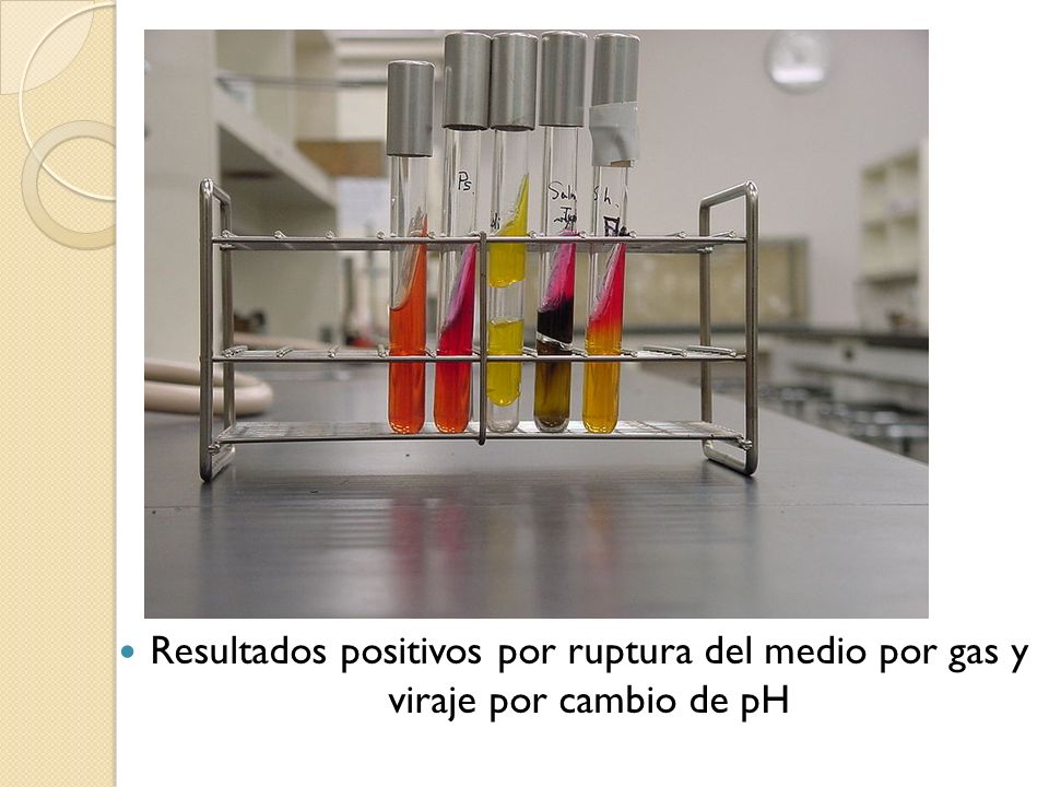 Resultados positivos por ruptura del medio por gas y viraje por cambio de pH