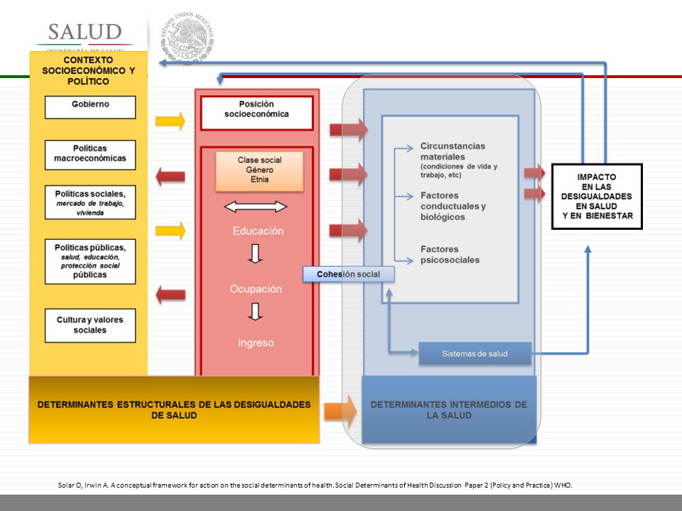 Los determinantes estructurales operan a través de los llamados Determinantes Intermedios.